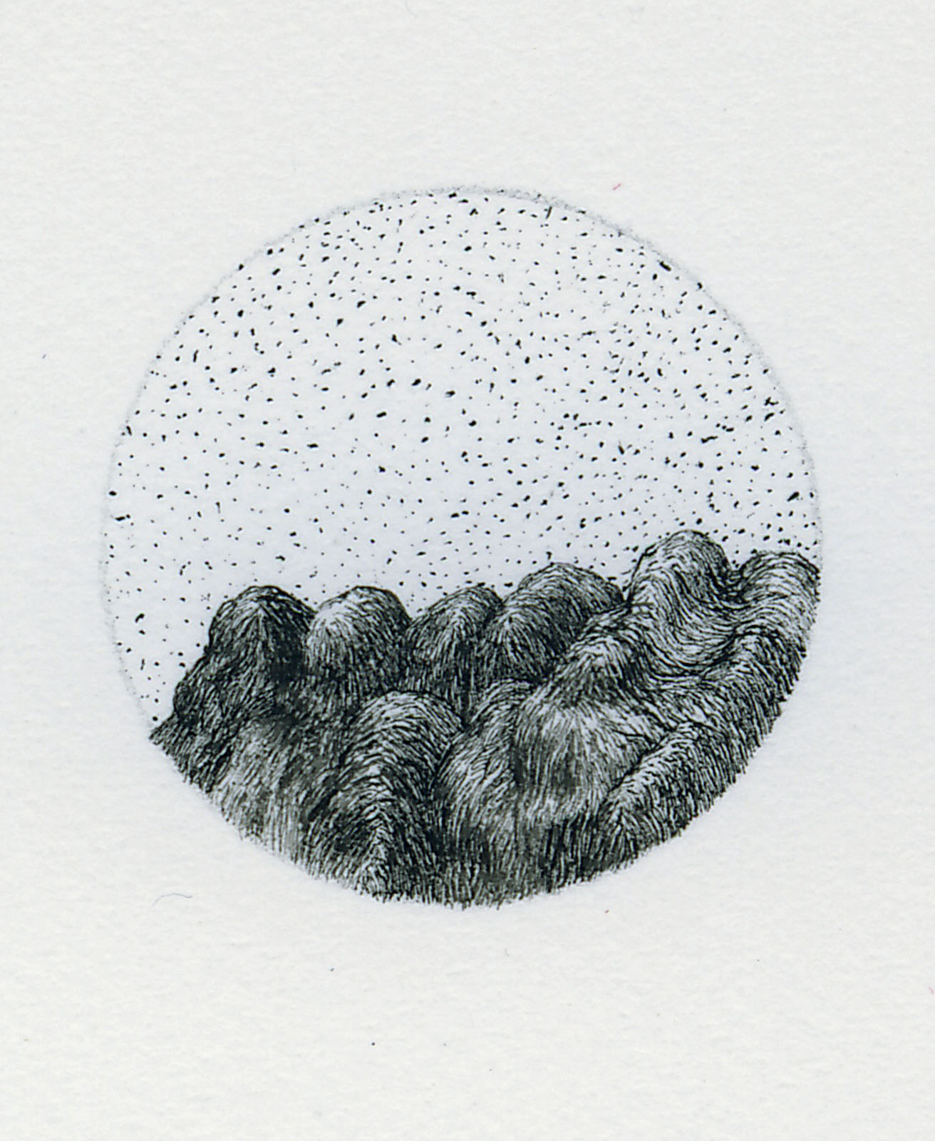 Pierre Clemens 2 1 cm 2010